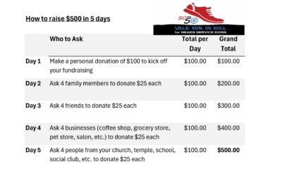 Raise $500 in 5 Days
